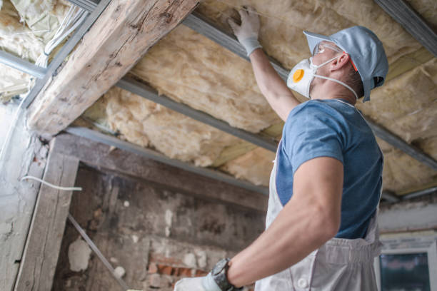 Best Insulation Maintenance and Repair in Pleasanton, KS